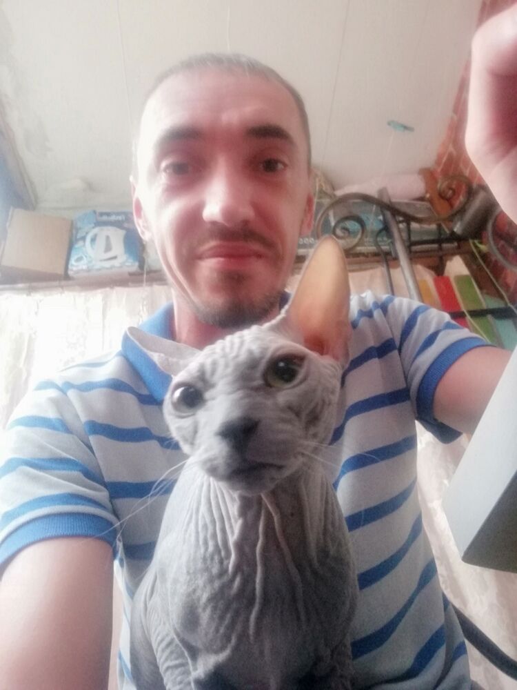 ���������� ���������, ���� ������� Petya, 41 ���, ������������ ��� ������, ����� � ���������