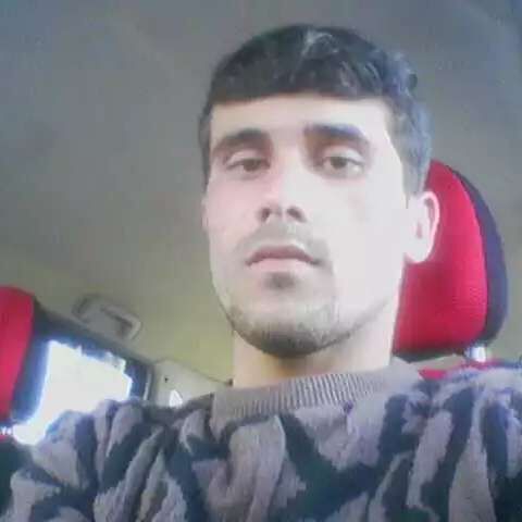 ���� 41929559 ������� Dali, 37 ���, ���� ���������� � ����������