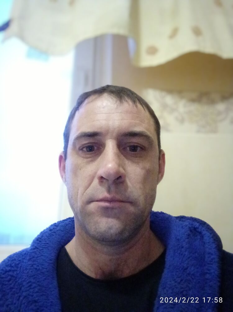  41446689  , 41 ,    