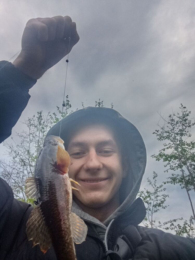 ���� 55315309 ����� ����, 18 ���, ���� ���������� � �����-����������