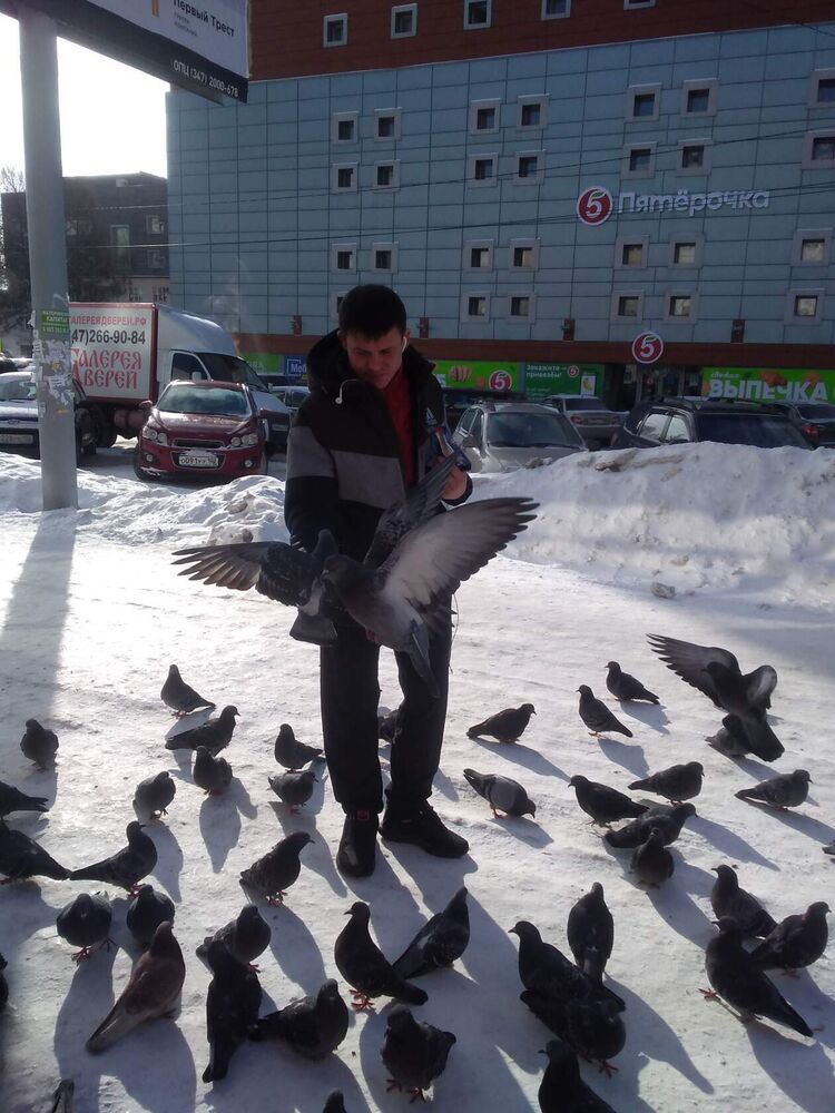 ���������� ���, ���� ������� ����, 34 ����, ������������ ��� ������, ����� � ���������, c�������� ���������