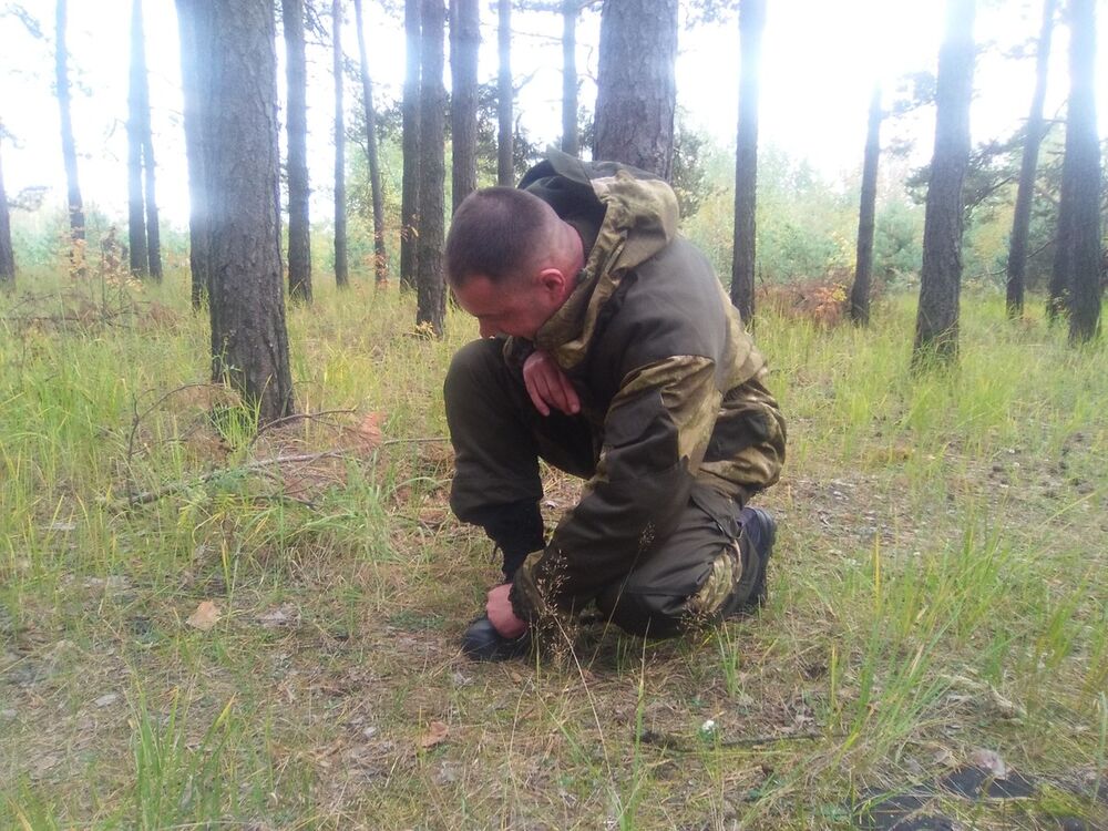 ���� 8183529 ������� ����, 40 ���, ���� ���������� � ���������