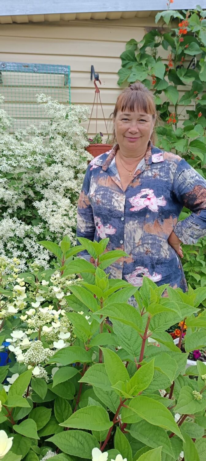  ,   , 53 ,   