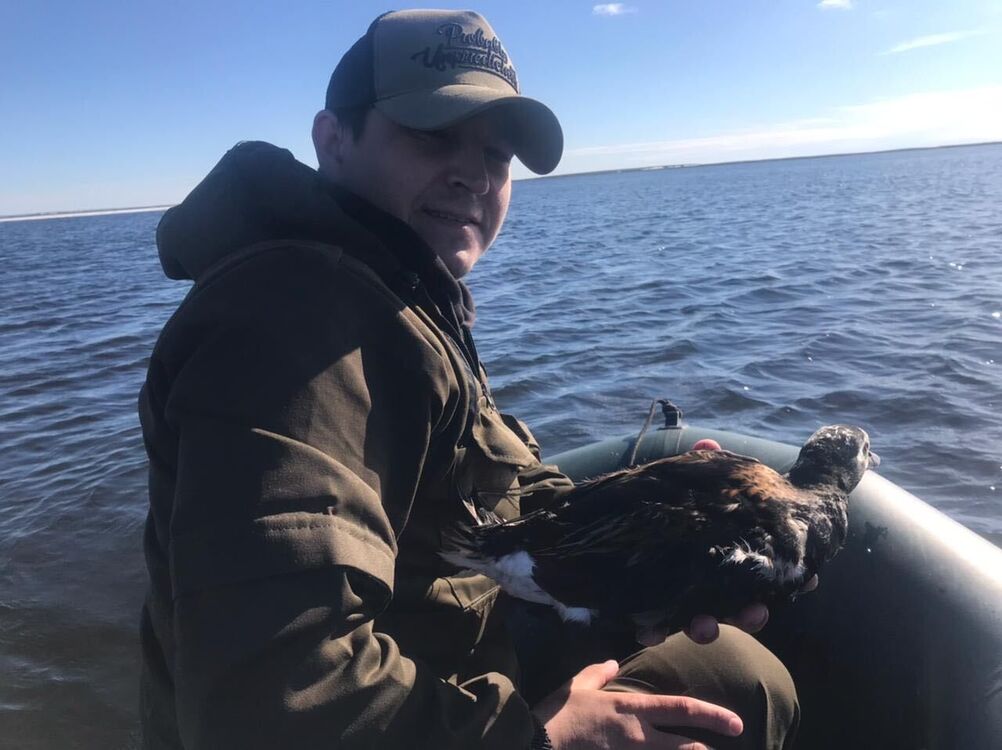 ���������� ���, ���� ������� ����, 26 ���, ������������ ��� ������, ����� � ���������