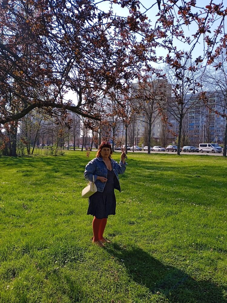 ���������� ������-��-����, ���� ������� �������, 66 ���, ������������ ��� ����� � ���������