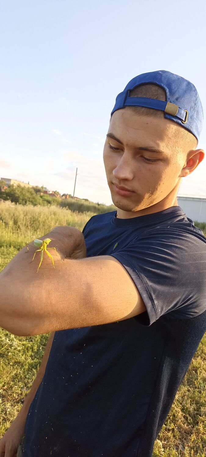 ���� 43239599 ����� ����, 23 ����, ���� ���������� � ����������