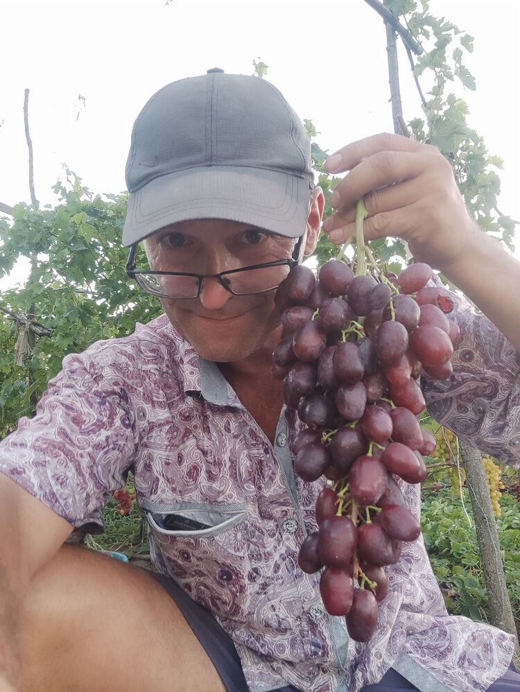  ,   , 57 ,   ,   , 