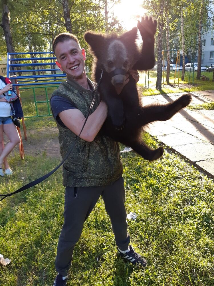 ���������� ������, ���� ������� Nursil, 29 ���, ������������ ��� ������, ����� � ���������, c�������� ���������