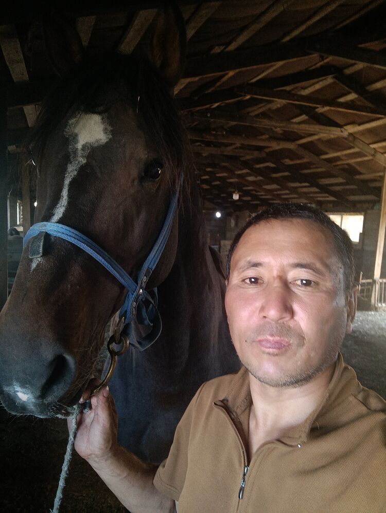 ���� 55311659 ������� Amantai, 42 ����, ���� ���������� � ���������