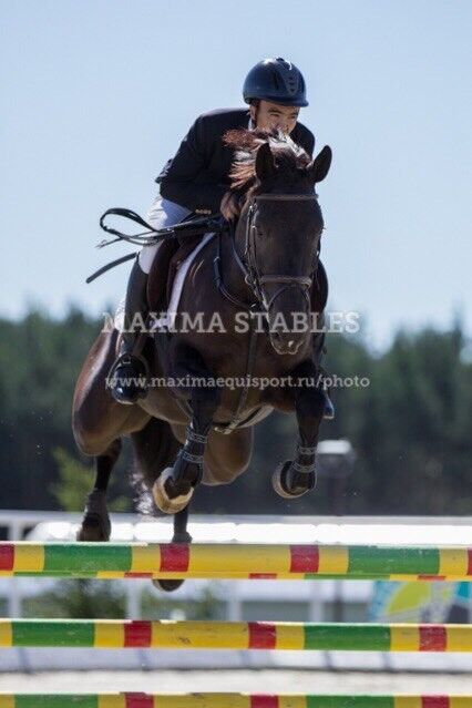 ���������� ��������, ���� ������� �������, 33 ����, ������������ ��� ������, ����� � ���������, c�������� ���������