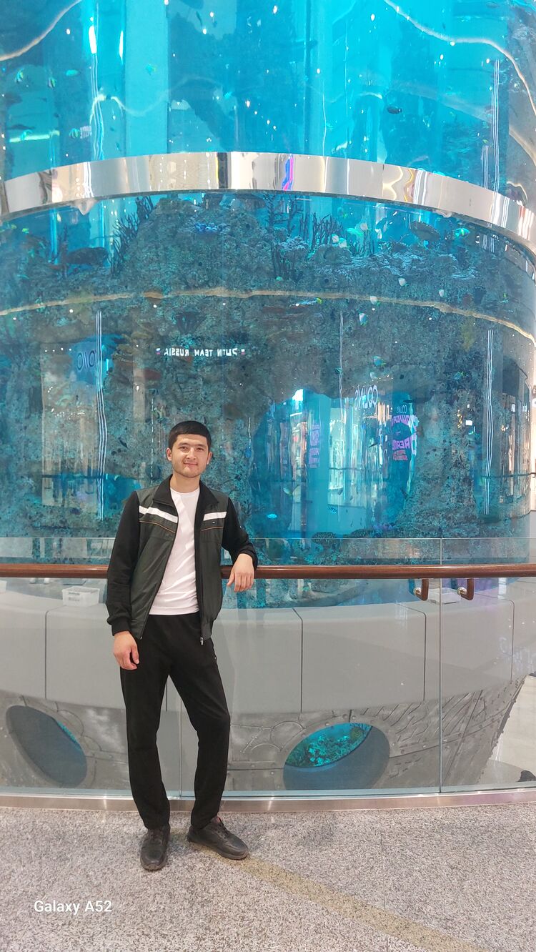 ���������� ������, ���� ����� ��������, 24 ����, ������������ ��� ������, ����� � ���������