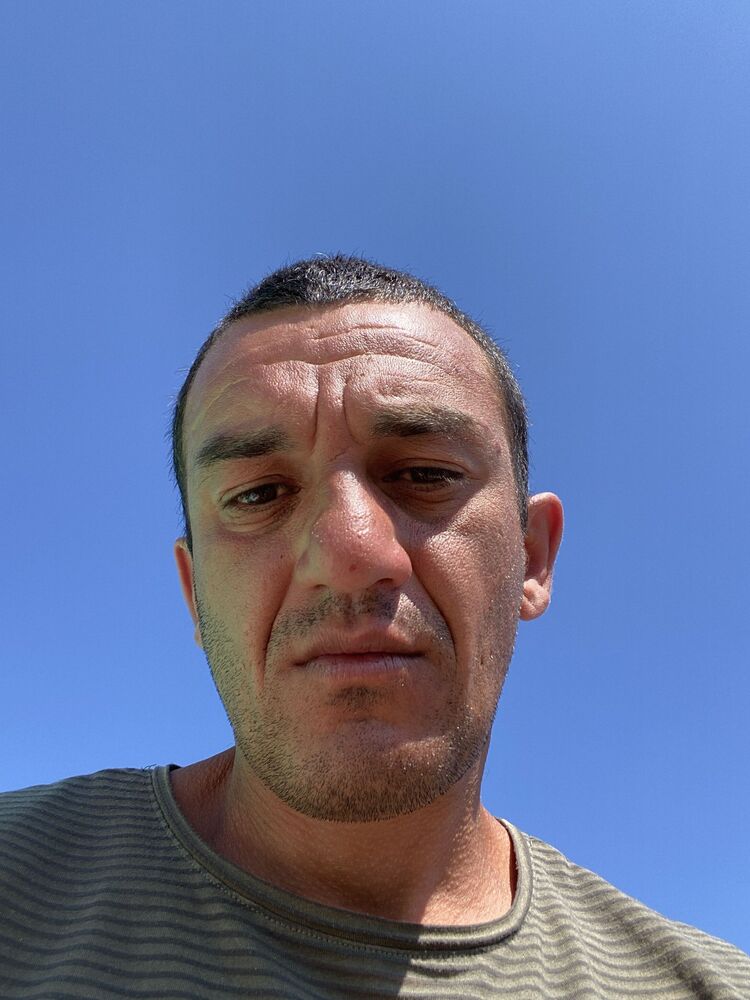  43534329  , 40 ,    