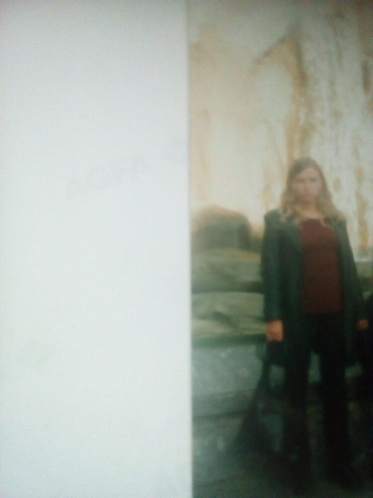  21937049  , 40 ,    