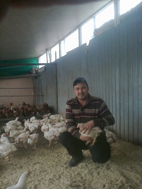 ���������� ��������, ���� ������� ����, 49 ���, ������������ ��� ������, ����� � ���������