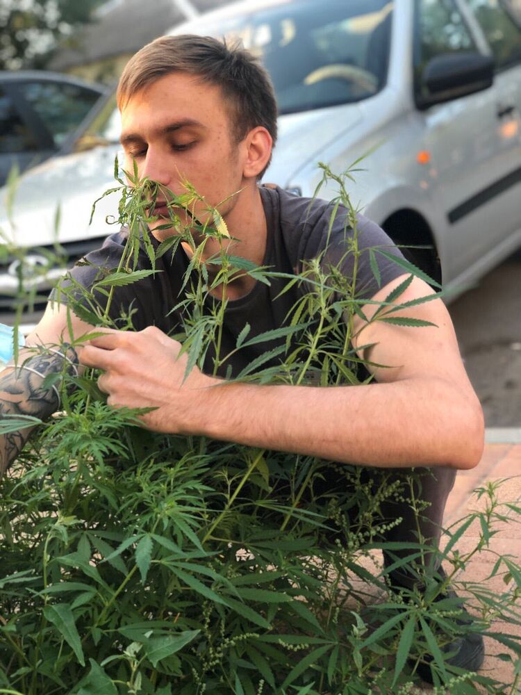 ���������� ������-��-����, ���� ������� Ҹ��, 28 ���, ������������ ��� ������, ����� � ���������, c�������� ���������