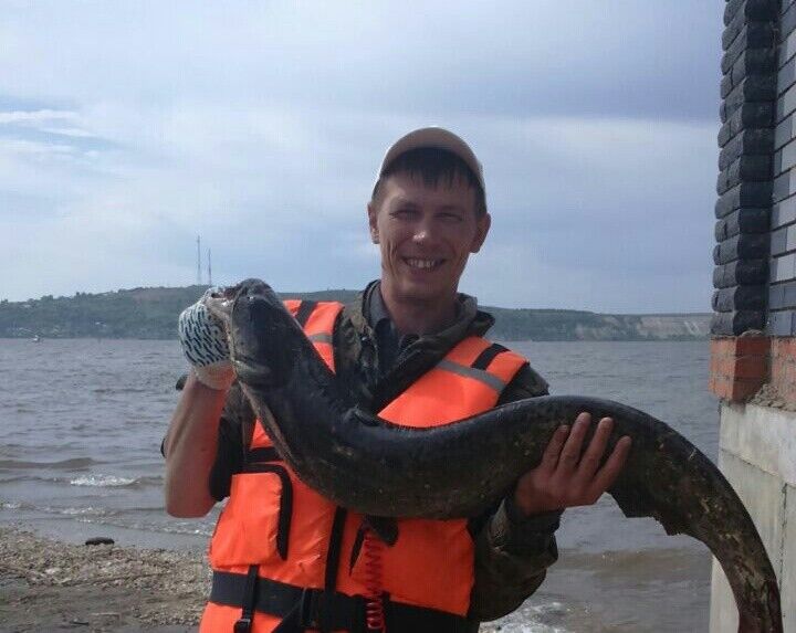 ���������� ������, ���� ������� �������, 42 ����, ������������ ��� ������