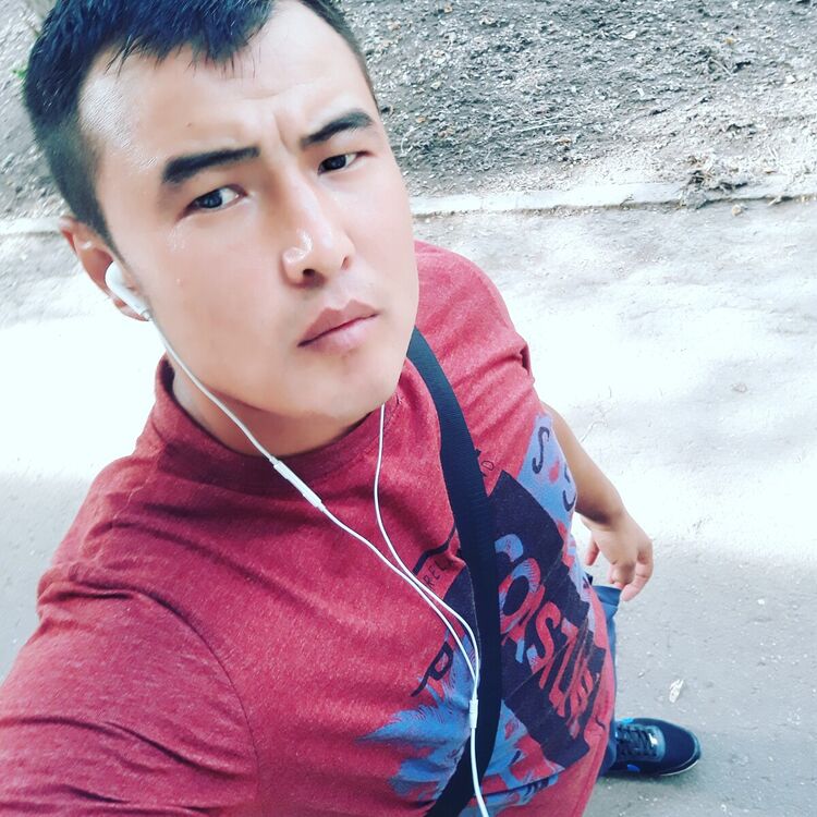  20368969  , 33 ,    