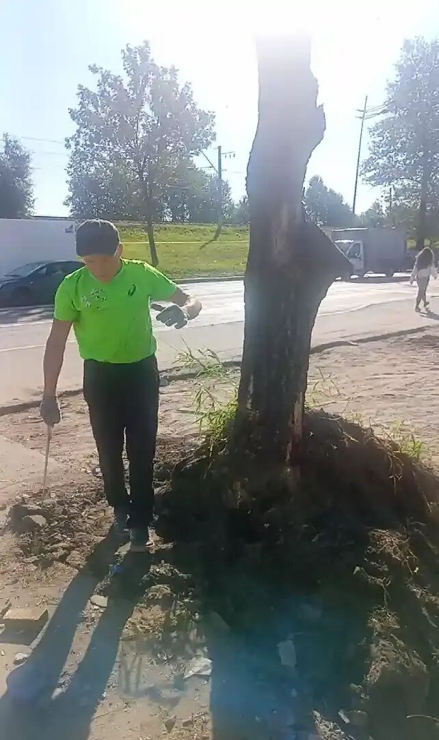  37850609  , 45 ,    -