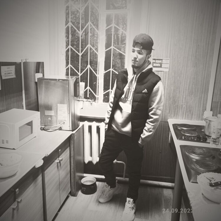  29438649  , 28 ,    -