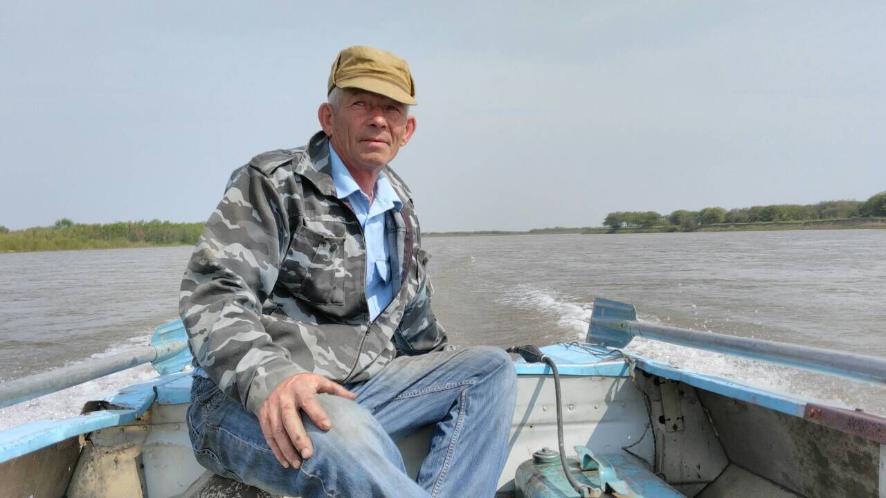 ���� 55466119 ������� ��������, 70 ���, ���� ���������� � ������������