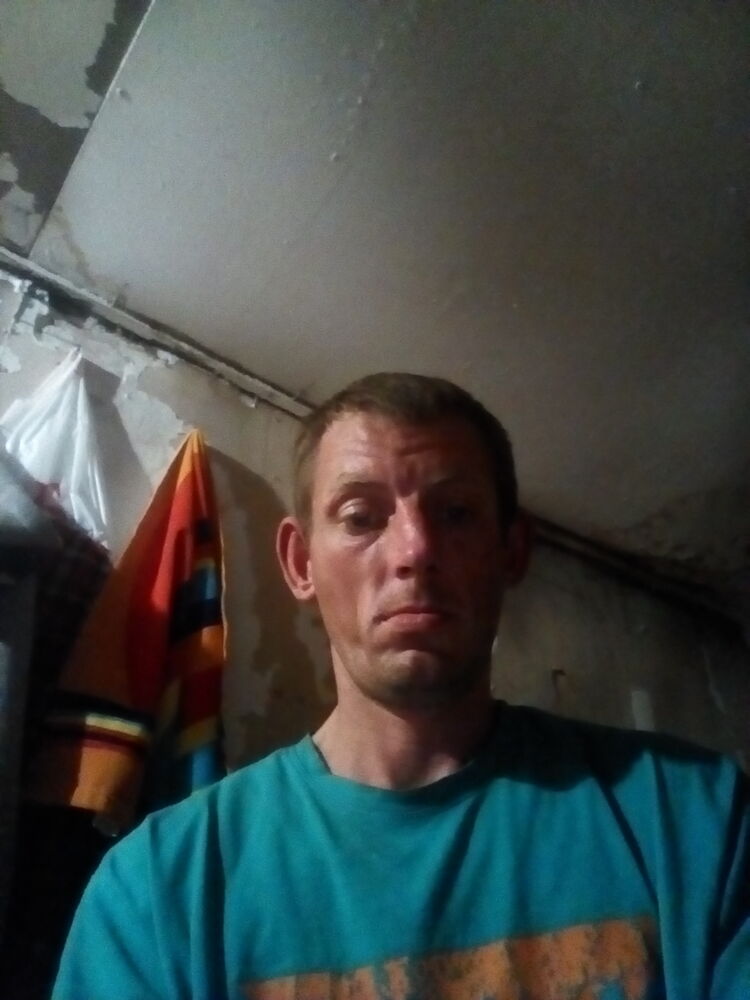  29188229  , 36 ,    