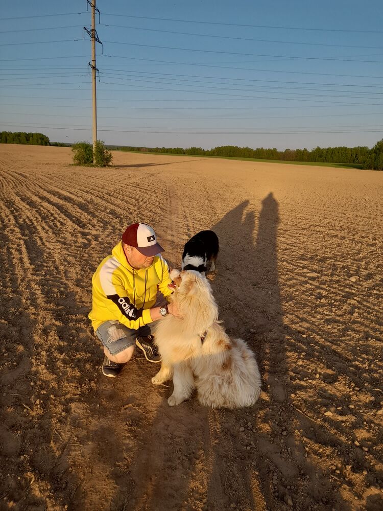 ���������� ��������, ���� ������� ���������, 35 ���, ������������ ��� ������, ����� � ���������, c�������� ���������