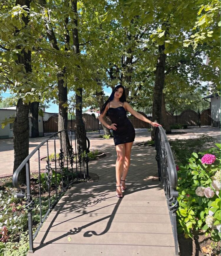 ���� 50911189 ������� �������, 33 ����, ���� ���������� � �����-����������