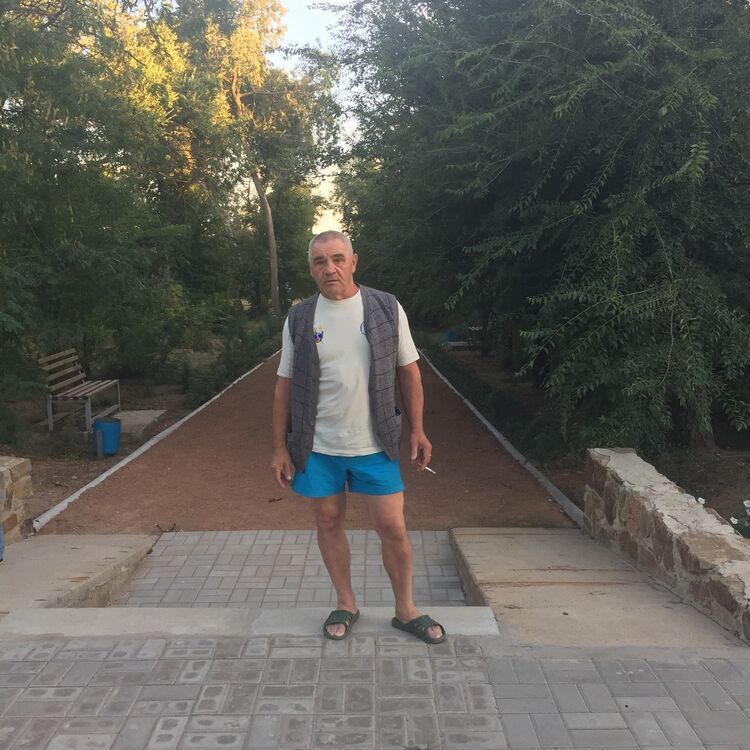  8026589  , 71 ,    