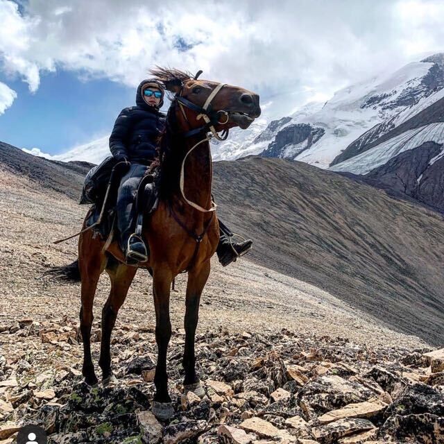 ���� 31869459 ������� �����, 36 ���, ���� ���������� � ��������