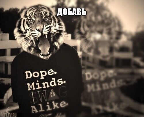 ���� 22447179 ������� ������, 35 ���, ���� ���������� � ����������