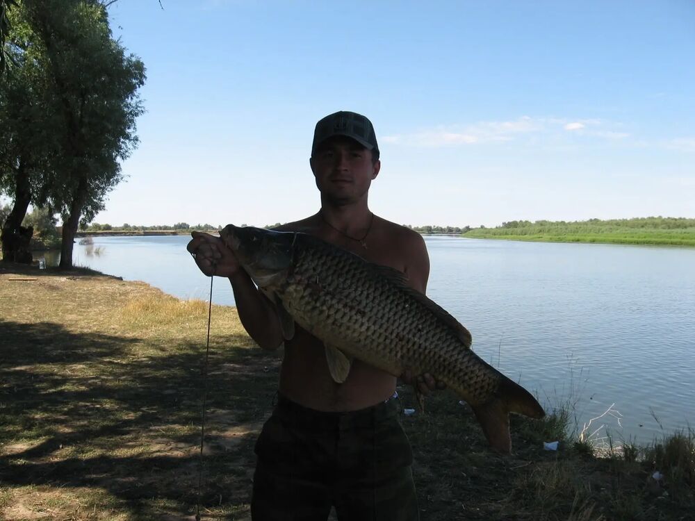  ,   Denis, 37 ,     , c , 