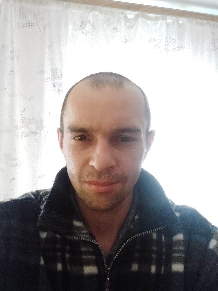  33729279  , 38 ,    