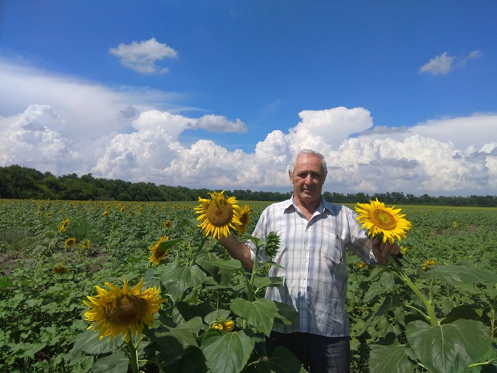 ���������� ������������, ���� ������� �������, 72 ����, ������������ ��� ������, ����� � ���������