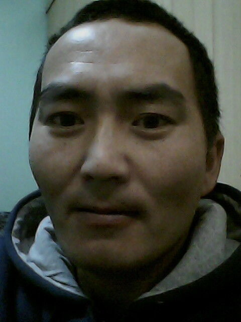  8367919  , 40 ,    