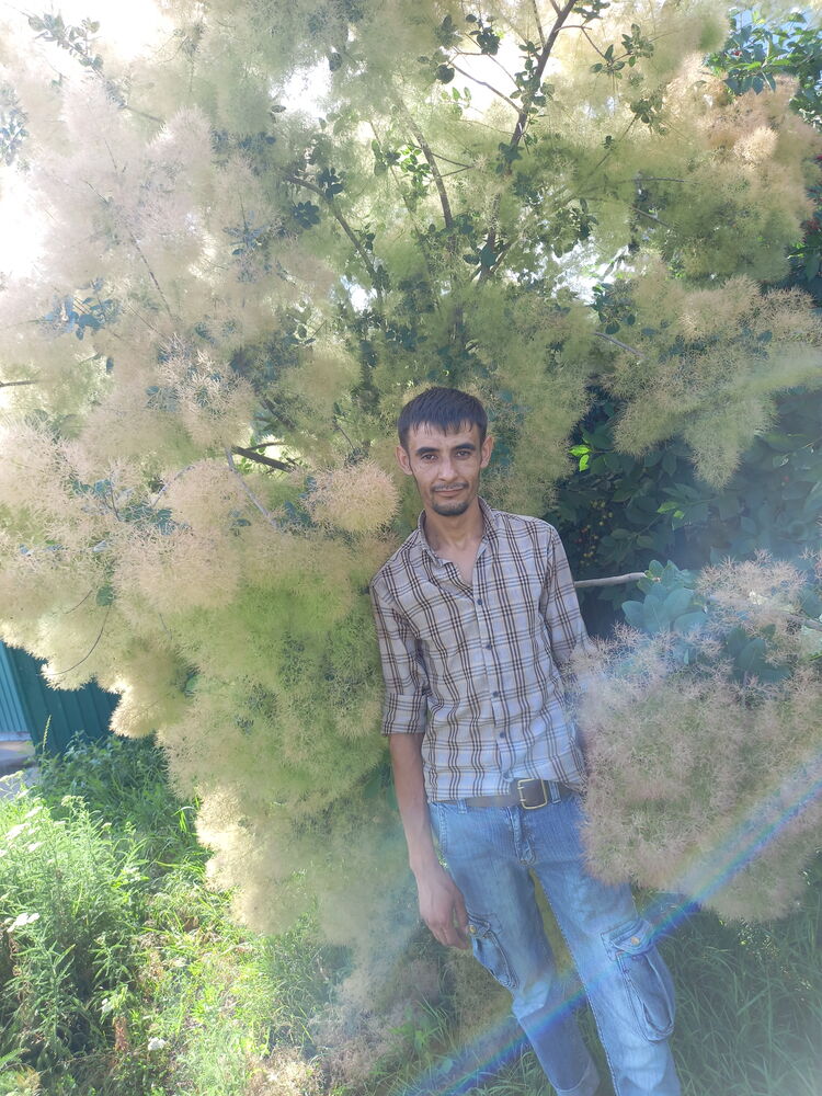 ���������� �������, ���� ������� ����, 33 ����, ������������ ��� ������, ����� � ���������, c�������� ���������