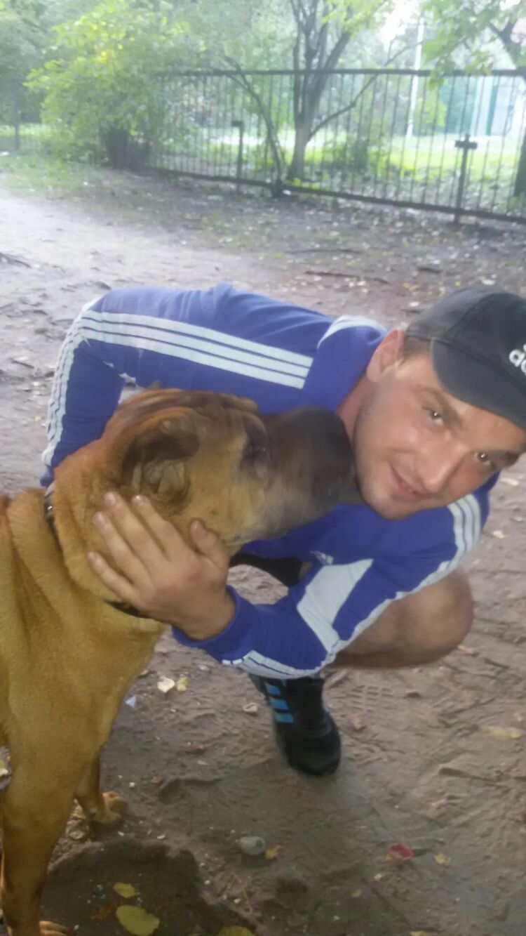 ���������� �����������, ���� ������� ������, 37 ���, ������������ ��� ������, ����� � ���������