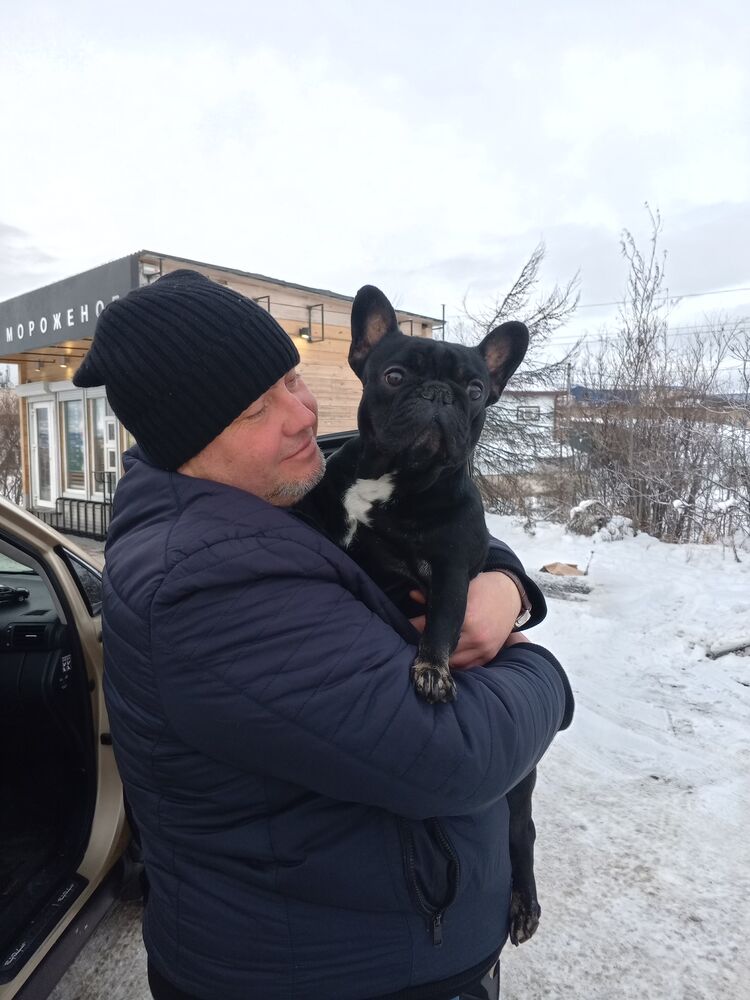 ���������� �������, ���� ������� ���������, 41 ���, ������������ ��� ������, ����� � ���������, c�������� ���������