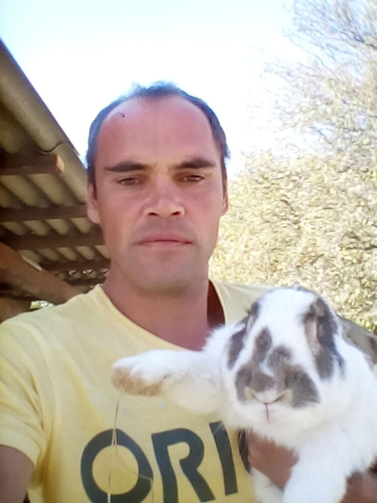 ���������� ����������, ���� ������� ���, 42 ����, ������������ ��� ������, ����� � ���������, c�������� ���������