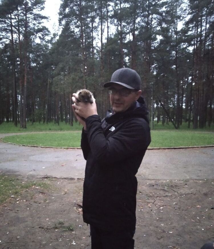 ���������� �����, ���� ������� ������, 38 ���, ������������ ��� ������, ����� � ���������, c�������� ���������