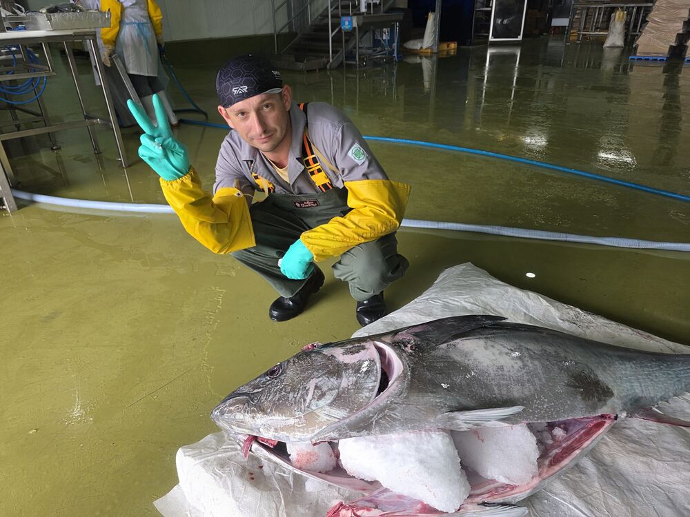  53739219  Yury, 39 ,    