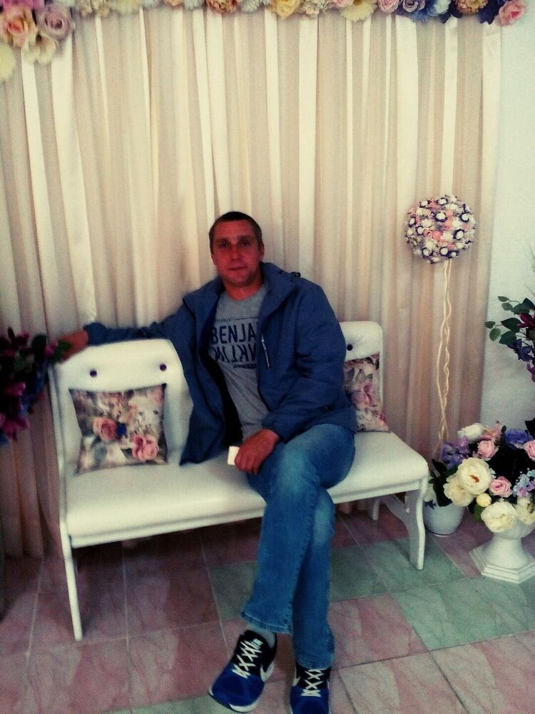  43347879  , 41 ,    