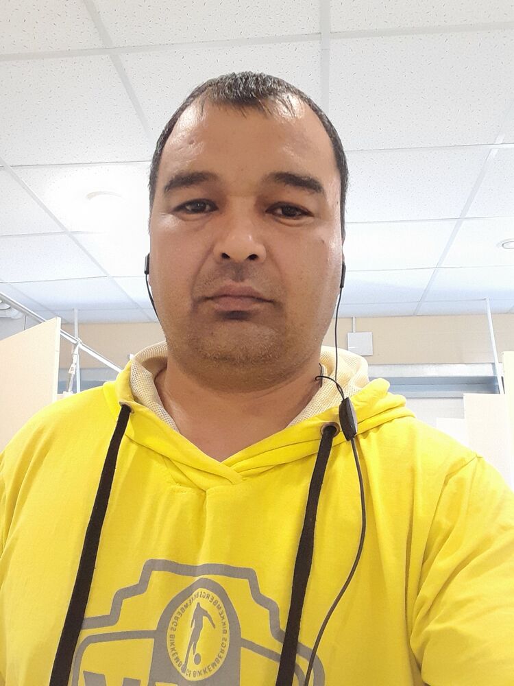  33653539  , 46 ,    -