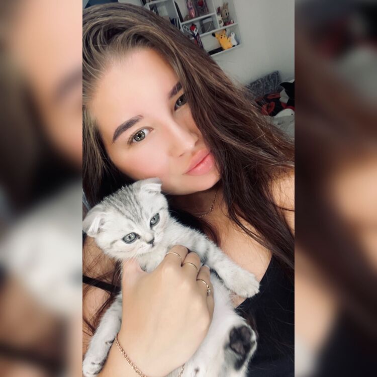  45663689  , 27 ,    -