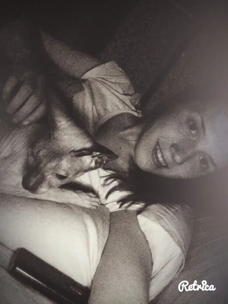  28985169  , 27 ,    -