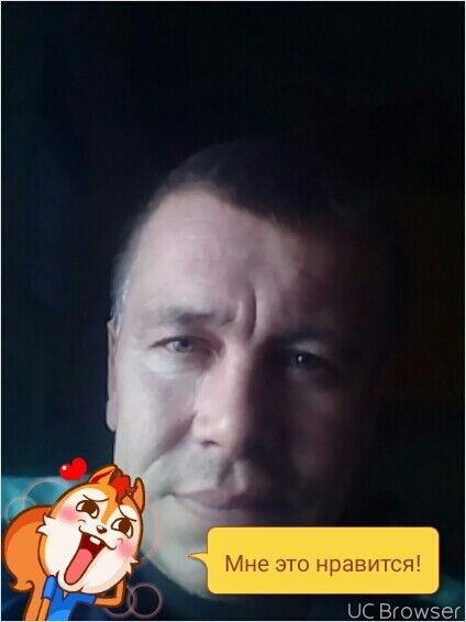  9126899  , 51 ,    