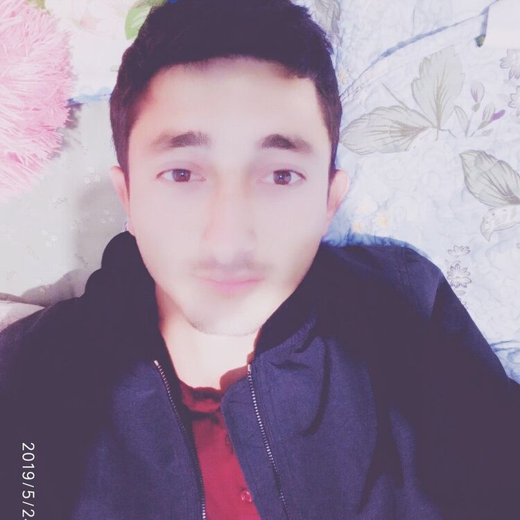 ���� 19982789 ������� Prosta, 32 ����, ���� ���������� � �������