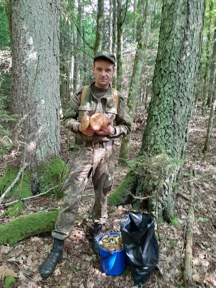  ,   , 46 ,   ,   , c , 