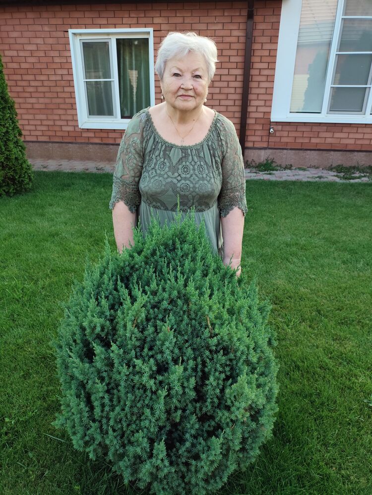 ���� 54414929 ������� ��������, 68 ���, ���� ���������� � ����������