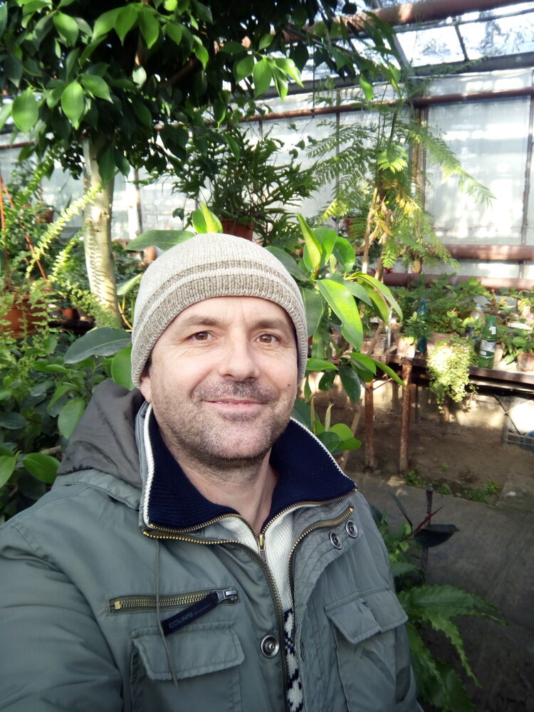 ���������� �������, ���� ������� ������, 46 ���, ������������ 