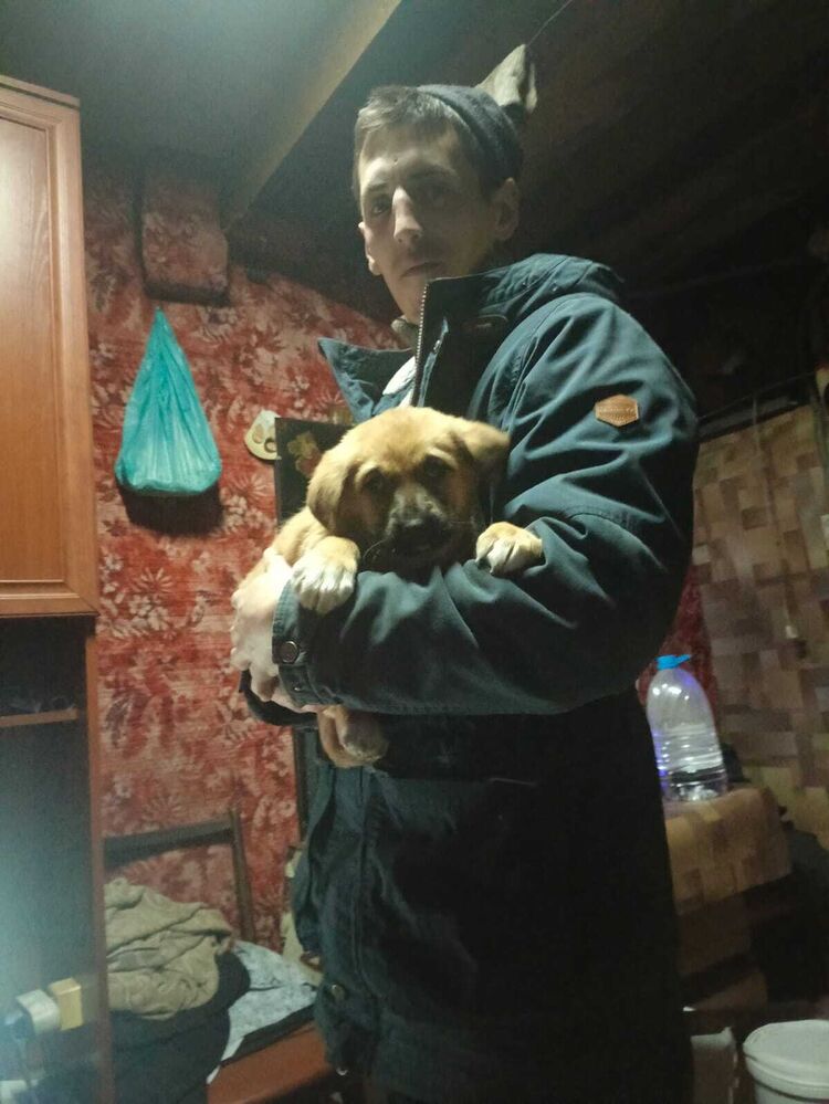 ���������� �����, ���� ������� �������, 26 ���, ������������ ��� ������, ����� � ���������, c�������� ���������